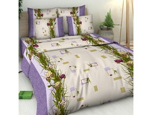 1095-1 ��� �����-1 ���� ��������.jpg