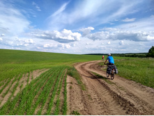 IMG 20170610 155301 HDR.jpg