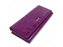 011884 big 06070179 fiol 1.jpg