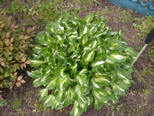 20170603 153714.jpg