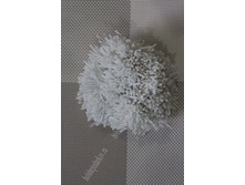 ������������ ������� ������, �����