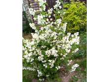 ��������� ������ 2015.jpg