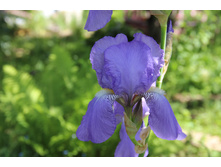 ���� ��������-����� ������� (�ϣ ����)