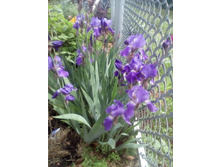 5755dd7c8d813 img20160528121318.jpg