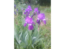 20160529 202331.jpg