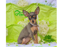 ���� ����� ����