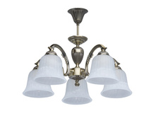 450014605 5800�.jpg