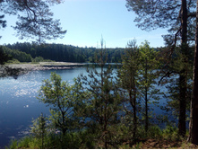 IMG 20170624 075333.jpg