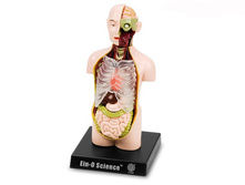 (ENG)E2370TO ��������� ��� �������� ���� 260 ���..jpg