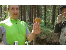 ������� ����������.