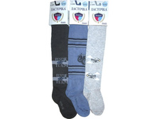 ������� �������� �������� �33 71.50 ���