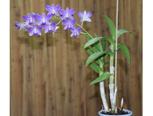 ���������������� ���� ... ������ ��������� ..