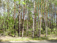 IMG 20170612 150229.jpg