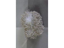 ������� �����, ����� (���� �� ��������)