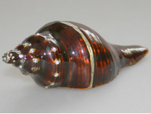 203 ���. - ��������