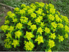 59319a4b10bb1 img9395.jpg