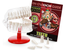 (ENG)E2381NTC ��������� ��� ���� ���� 200 ���..jpg