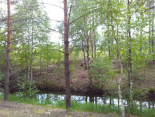 IMG 20170610 150437.jpg