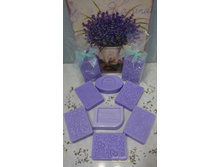 ���������� ����������