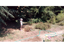 ������ ����