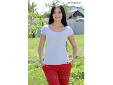 �������� PL1-820-1 �����.jpg