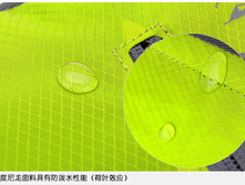 TB2tHo3aYBmpuFjSZFuXXaG XXa !!34219177[1].jpg