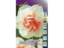 41,3���. ������� ���� �������(�������� ���� �� 5 ��.) �������� 1 ��..jpg