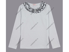 480 �+���% ����-�����