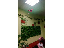 IMG 20170610 161958.jpg