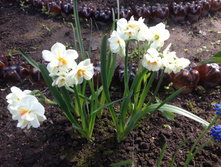 �������� ��� ������� ������� IMG 0941.JPG