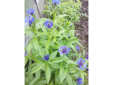 ����̣�. 10-15 �.