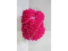 ������������ ������� ������, �����