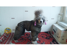 �������-�����