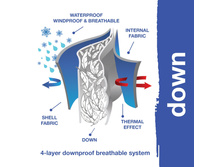 ������� �� ����.jpg