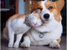 ����� � ������