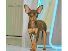 �� ����� = 10 �.�