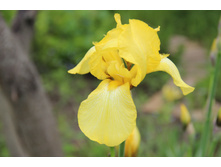 ���� ������ ������� (�ϣ ����)