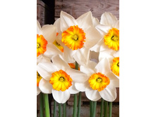 22,4���. ������� ������ ����(�������� ���� �� 7 ��.) �������� 3 ��..jpg