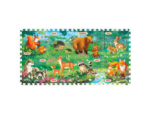 FS-FOREST (219442) ������-���� ������ ������ ��� ����� � ���� 8 ���������, ������ 31.5 31.5�� � ���. � ���.12�� ���� 830 ���. ���� �� ����� 539,5 ���..jpg