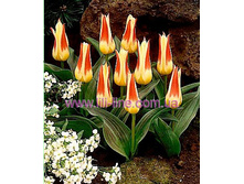 �������� �������. ������� ���-�� ���-��� 104,3 ���. ��. (� �������� 7 ��.). ������ �� 30 ��. ������� ������ �� 8 ��..jpg