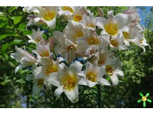 ����� ���-��� ���-��� ���. ����2.jpg