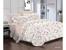 Y5d1802-6529-1-3 - �����.jpg