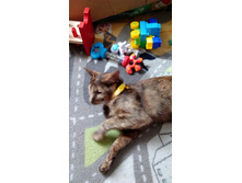 ������� ��� ����� ��� ��������� ������