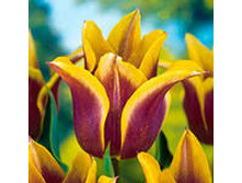 �������� ������������ ��-���� 132,3 ���. ��. (� �������� 7 ��.). ������ �� 40 ��. ������� ������ �� 12 ��. .jpg