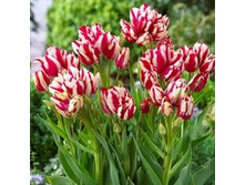 ������� �������������� ���-���� ��-�� 153,3 ���. ��. (� �������� 7 ��.). ������ �� 55 ��. ������� ������ �� 10 ��..jpg