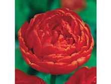 �������� �������� ������� ���-���� 97,3 ���. ��. (� �������� 7 ��.). ������ �� 55 ��. ������� ������ �� 12 ��..jpg