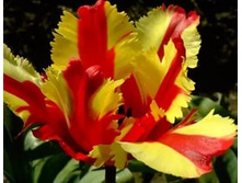 ������� ���������� ���-���� ���-��� 132,3 ���. ��. (� �������� 7 ��.). ������ �� 50 ��. ������� ������ �� 15 ��. ��������!!!!!!.jpg