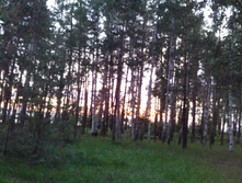 IMG 20170622 210917.jpg