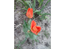 2016-05-01 15.57.29.jpg