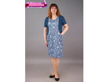 �0067, 350���, 50-60��.